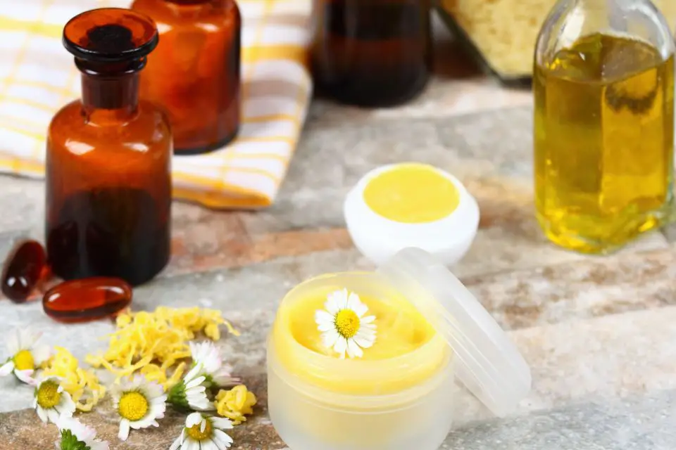 natural oils in lip balm
